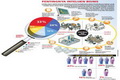 Urgensi economic intelligence...