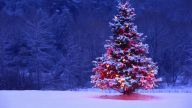 Tradisi perayaan Natal...