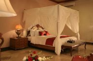 5 Hotel di Solo dengan...