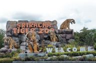 Tempat Wisata Seru di...
