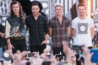 Quo Vadis One Direction