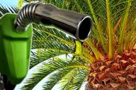 Penyerapan Biodiesel...