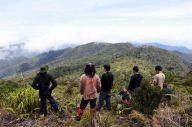 3 Wisata Gunung Terbaik...