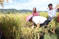 Upaya Menjadikan Tapanuli...
