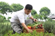 Jaga Bumi, Accor Hotels...