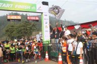 International Bromo...