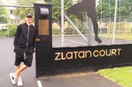Zlatan Ibrahimovic,...
