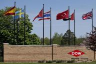 Dow Chemicals, Bukan...