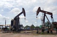 Dalam Sepekan, Harga...