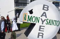 Bayer AG Berencana PHK...