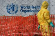 Soal Laporan Ebola,...