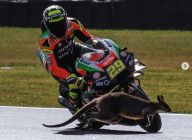 Iannone Nyaris Tabrak...