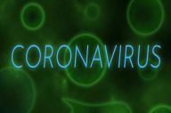 WNI Positif Korona,...