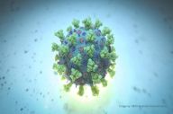 Riset AS: Virus Corona...