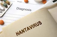 Mengenal Virus Hanta...