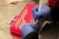 Bahrain Gunakan Hydroxychloroquine...