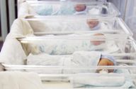 Sepuluh Bayi Baru Lahir...