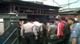 Polda Metro siap gerebek...