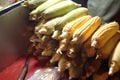 Musim hujan, jagung...