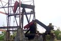 Mobil Cepu target 165...