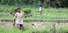 DPR dukung cetak 100...