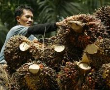 Kenaikan BK CPO beratkan...