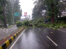 Angin kencang, Honda...