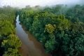 Ekowisata mangrove jadi...