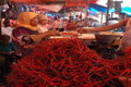 Harga cabai kian pedas