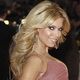 Sylvie ingin Van der...