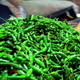 Harga cabe rawit tembus...