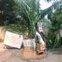 Blokir jalan rusak,...