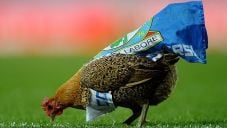 Blackburn terdegradasi,...