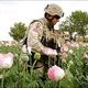 Presiden Afghanistan-UNODC...