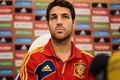 Fabregas: Spanyol hormati...