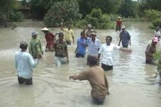 500 hektare lahan padi...