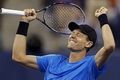 Tanpa kesulitan, Berdych...