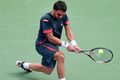 Ingin menang, Tipsarevic...