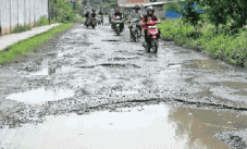 Diserang penyakit, warga...