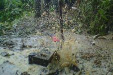 Ratusan semburan gas...