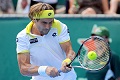 Ferrer berpeluang samai...