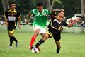 Kerangka PSMS PT LI...