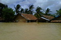 Banjir di Banten masih...