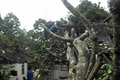 Angin kencang terjang...