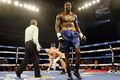Wilder sapu bersih duelnya...