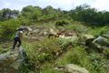 TPA Banyuurip tidak...