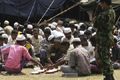 Pengungsi Rohingya di...