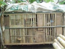 Bupati cuek, DPRD Kulonprogo...