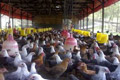 Peternak Ciamis bebas...