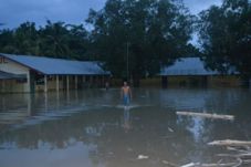 Banjir rusak sawah dan...